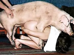 First sex with a pig in the village