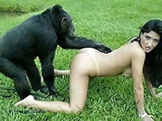 outdoors sex with a monkey
